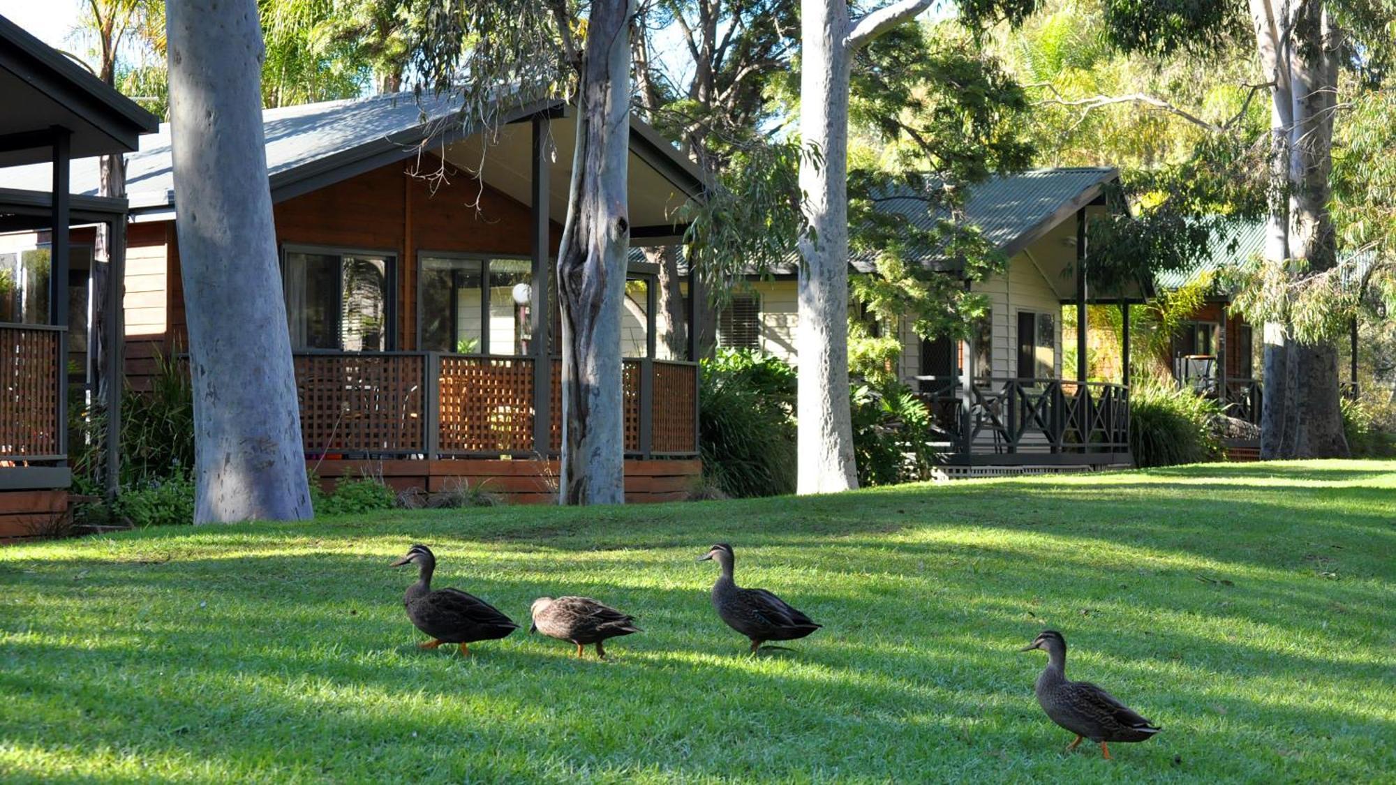 Marion Holiday Park Adelaïde Extérieur photo